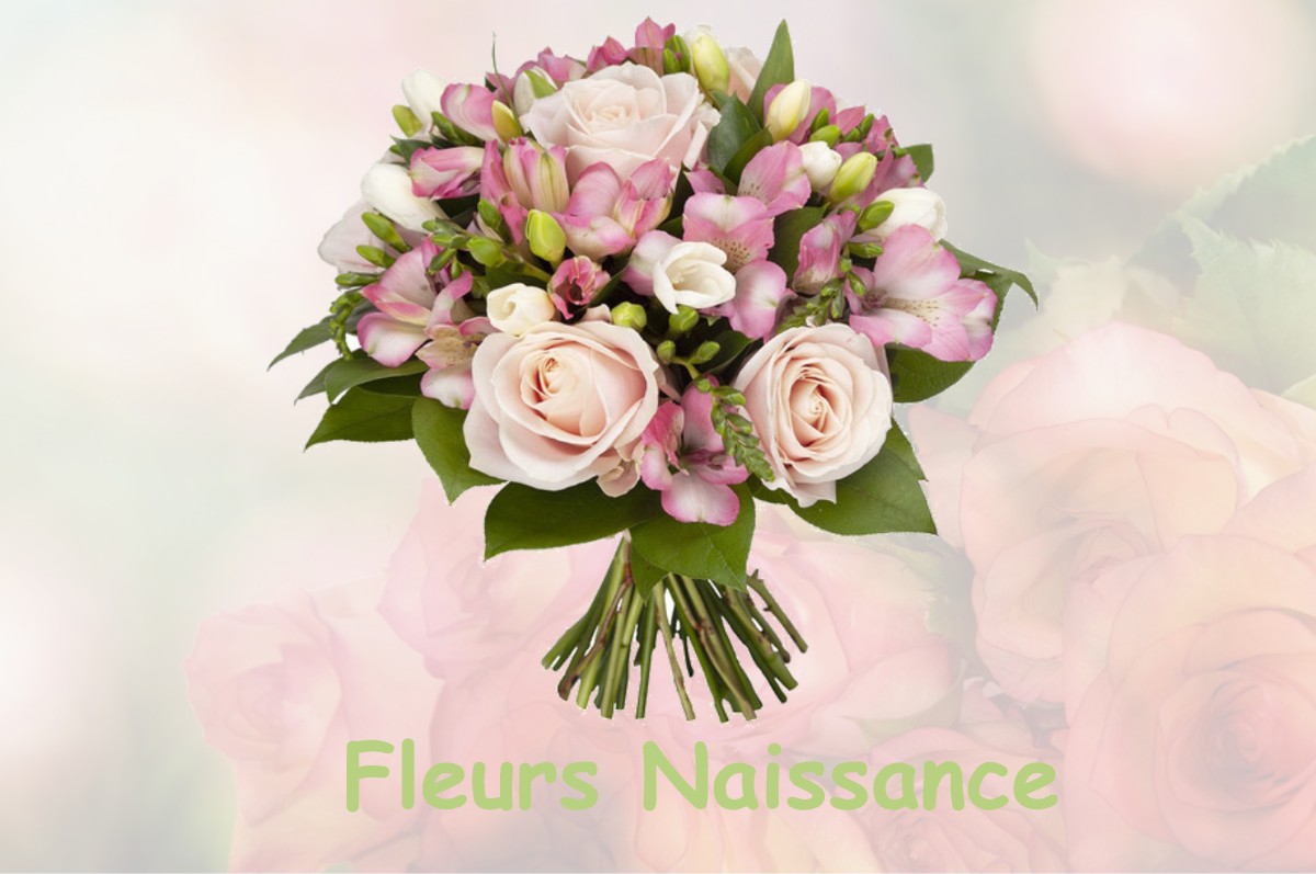 fleurs naissance LA-FRENAYE